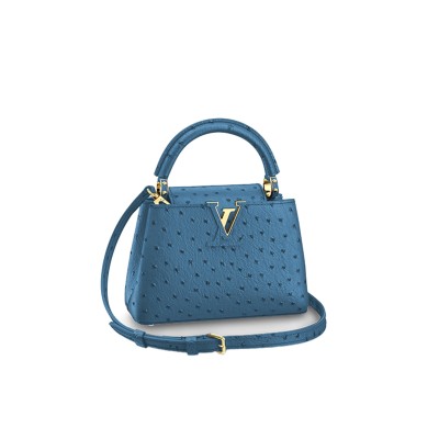 LOUIS VUITTON CAPUCINES MINI M95509 (21*14*8cm) 
